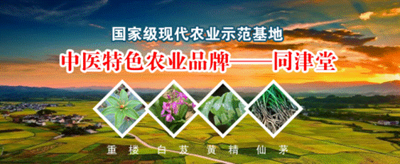 b0854080c6a1077eac19e4f1613624c0_181129122941728851560