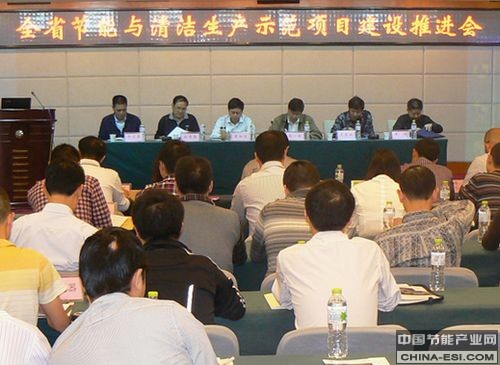 湖北省节能与清洁生产项目建设推进会